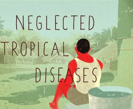 leprosy -Over-1-billion-people-suffer-from-Neglected-Tropical-Diseases-NCPEDP