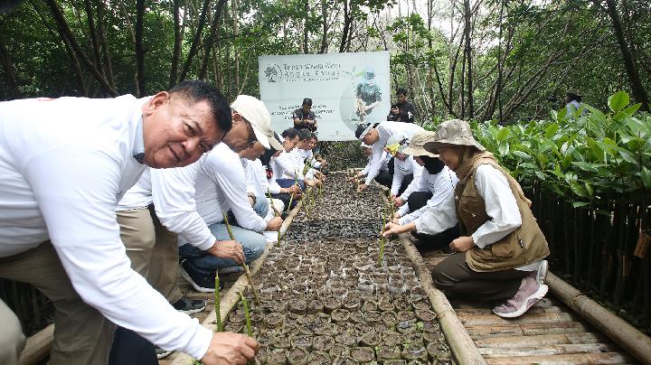 Aksi Nasional Difabel Pecinta Alam Tanam Mangrove di Angke Kapuk